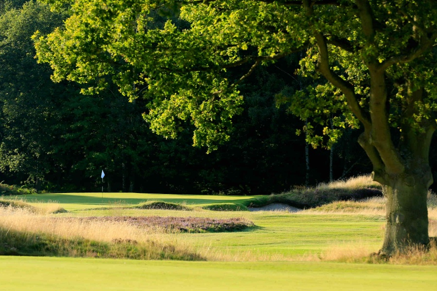RÃ©sultat de recherche d'images pour "The Alwoodley Golf Club course photos"